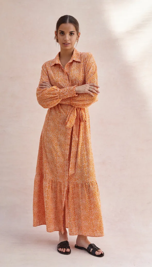 ALINA SHIRT DRESS - AUBURN PRINT