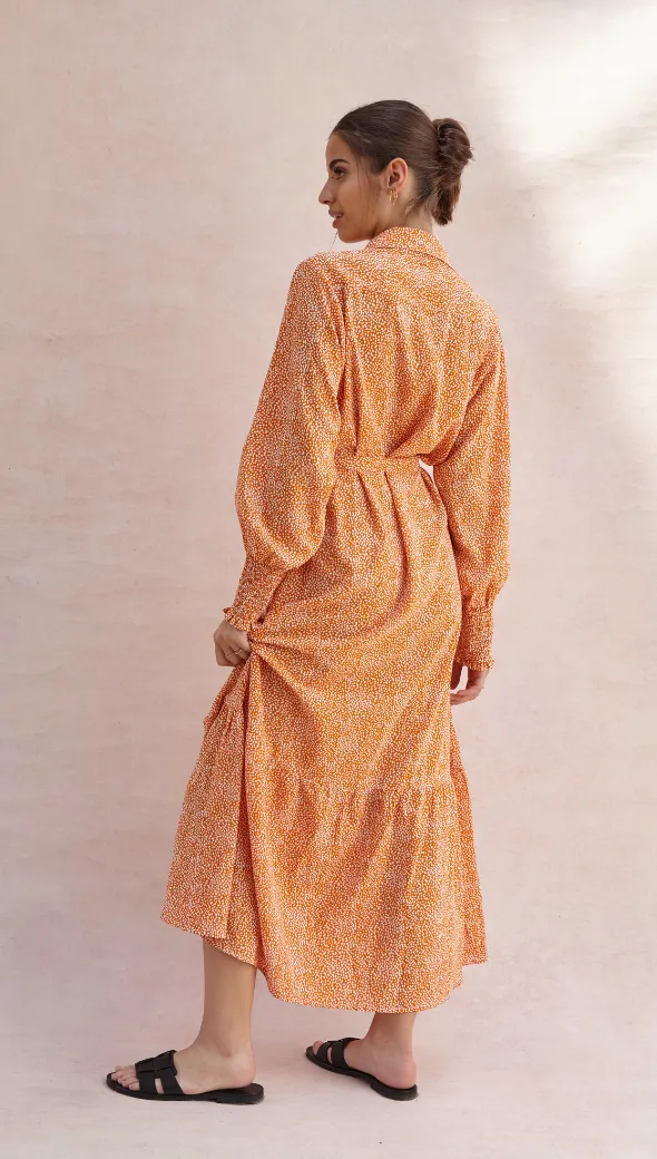 ALINA SHIRT DRESS - AUBURN PRINT